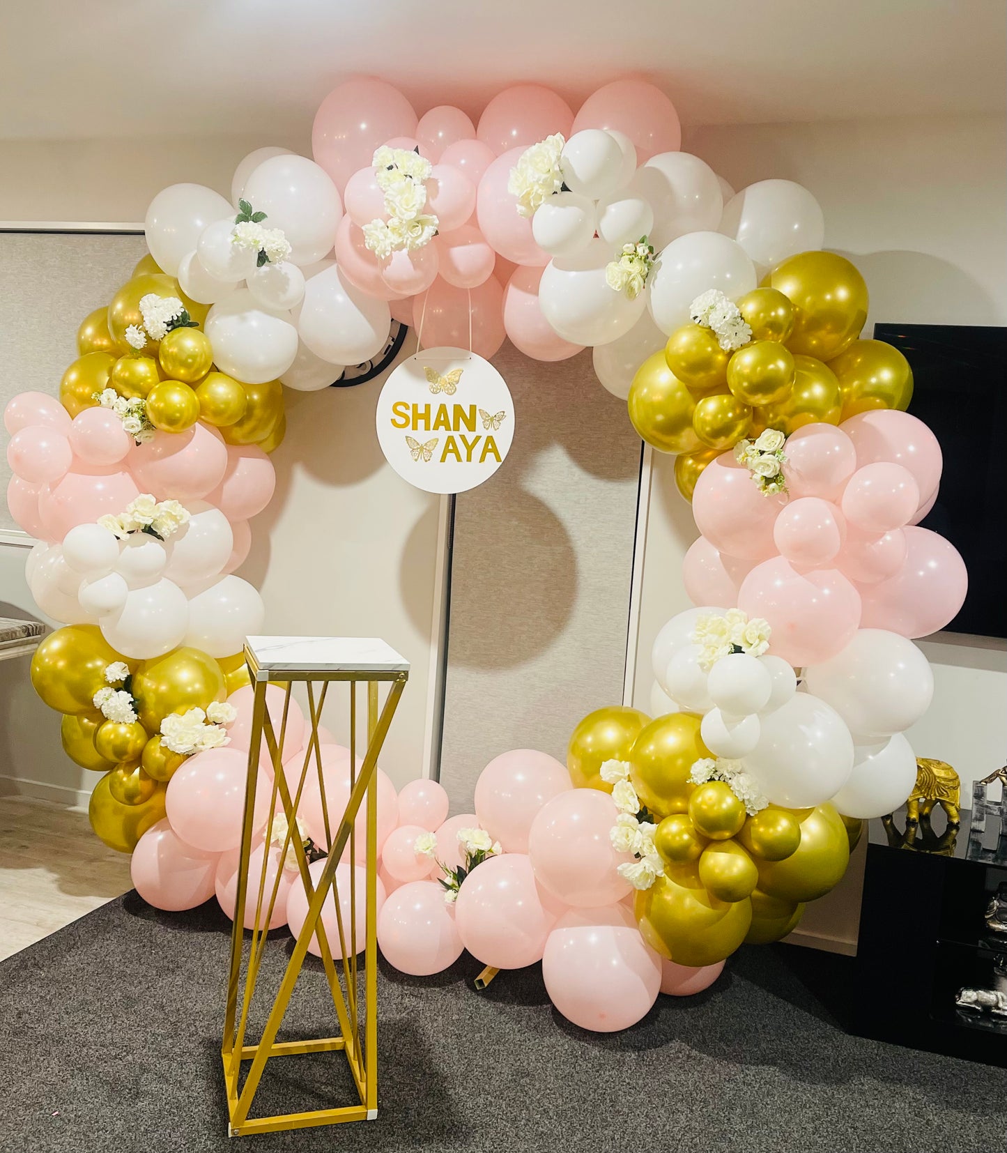 Balloon Hoop Backdrop