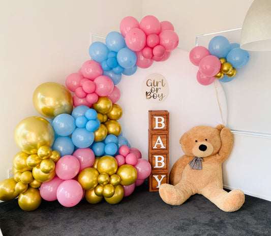 Giant bear for hire in Christchurch