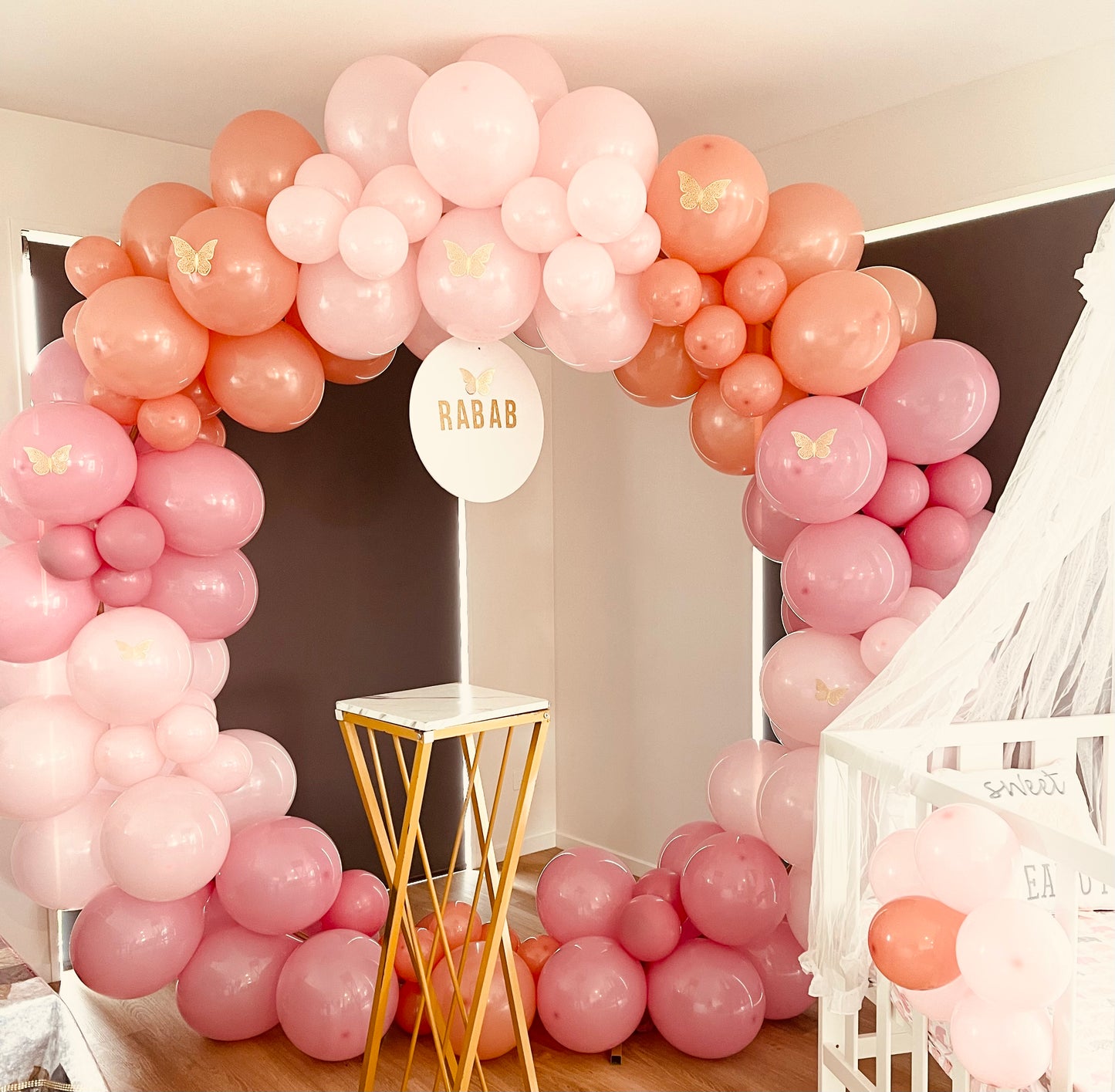 Balloon Hoop Backdrop