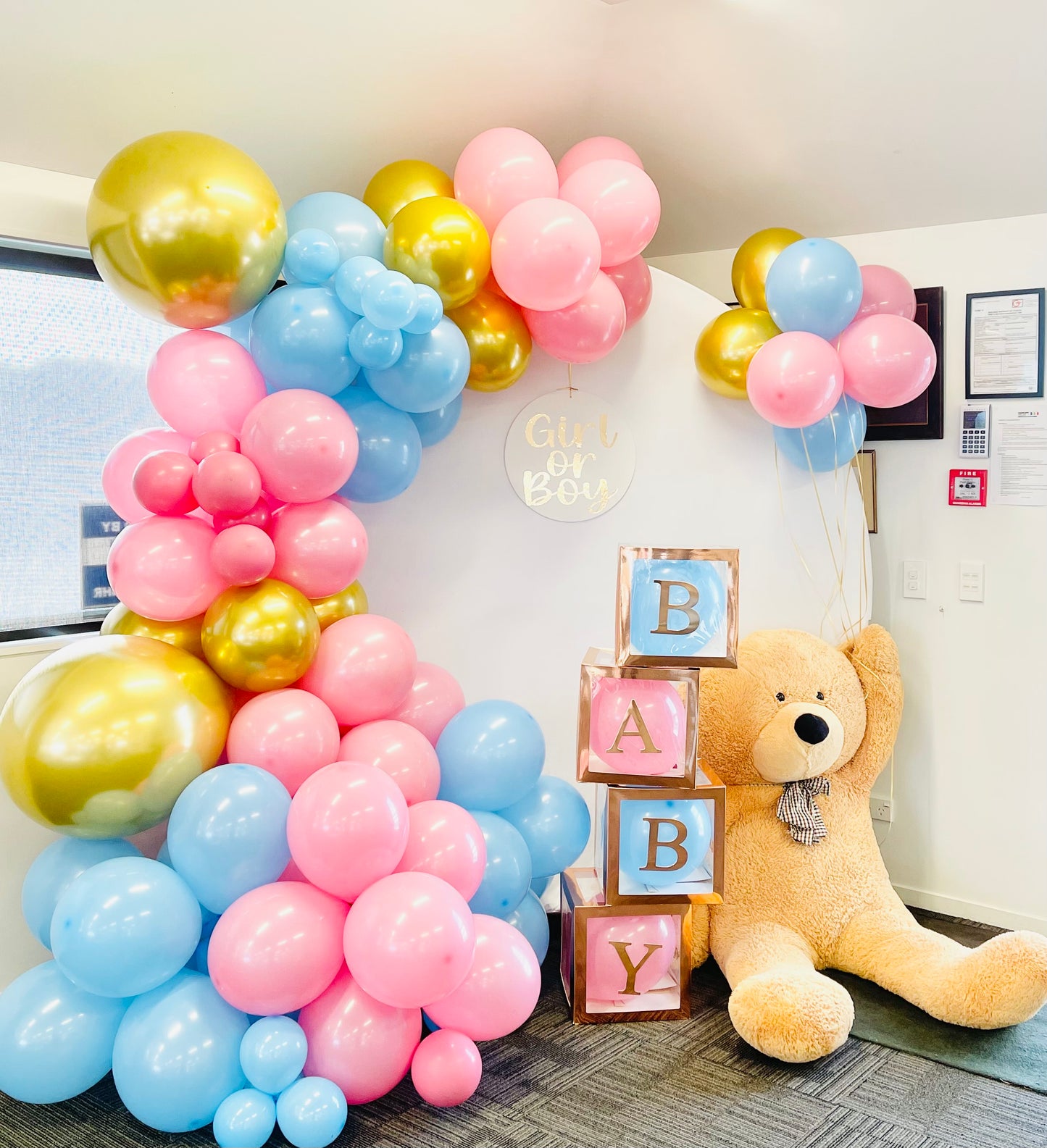 Baby shower/ Gender reveal backdrop setup and packdown